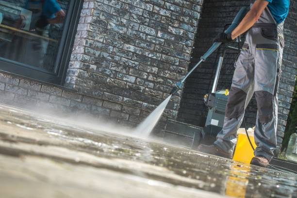 Boat and Dock Cleaning in Arbury Hills, IL